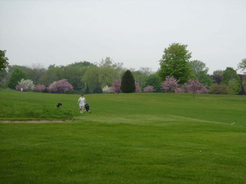 Golfer on golf course with trees in distance